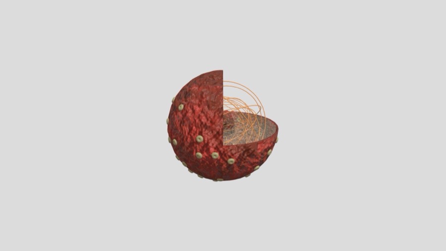 A cell nucleus in cross-section: the double membrane of the nuclear envelope pierced by nuclear pores, with chromatin and a dense nucleolus inside